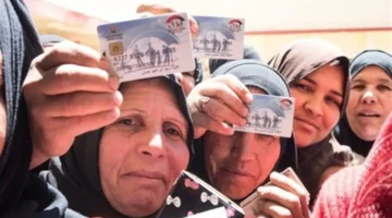 طريقة الاستعلام عن تكافل وكرامة بالرقم القومي وشروط استحقاق الدعم المالي لعام 2026